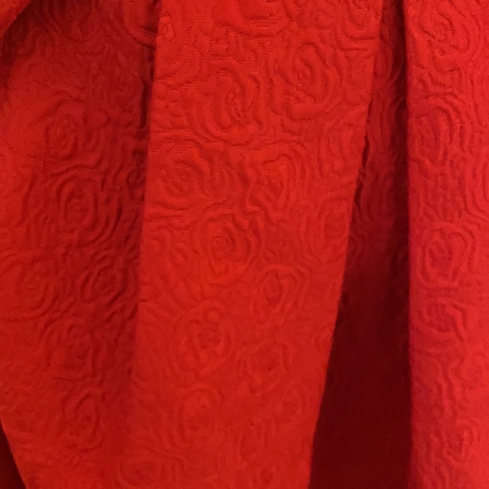 Chicwish Red Roses Embossed Full Skirt with Pockets! - Picture 4 of 4